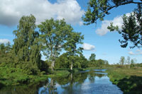 Landschaft an der Recknitz - Bild vergrößern ...